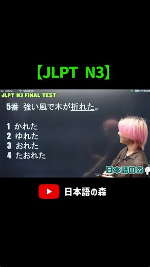 JLPT N3 問題解説と練習