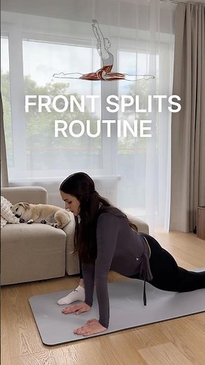 Front Splits Routine