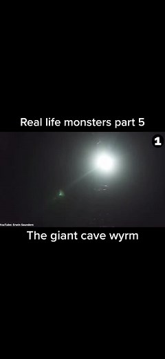 Real Life Monsters - Giant Cave Wyrm Footage