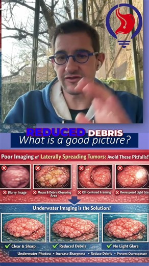 Underwater Imaging: Clearer, Sharper Photos Explained #shorts