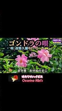 ゴンドラの唄·Japanese Song·森繁久彌·Shorts·No542·1811曲目· #オカリナ #奄美大島