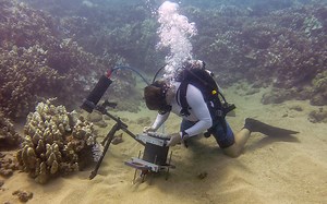 Researchers Develop Novel Microscope to Study the Underwater World