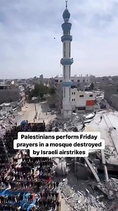 Muslim Women's Council on Reels