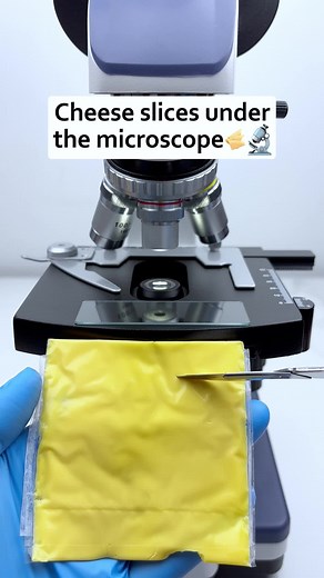 Exploring Cheese Under a Microscope: A Fascinating Look at American Cheese