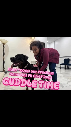 Meet “COCO” our Grief Support Dog ! | Precious Memories Funeral Home, P.A. | Facebook