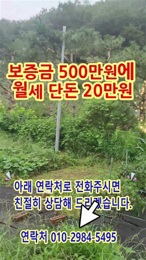 [전원주택1번지#260831]충주전원주택매물 앙성면 조천리 시골주택 월세｜보증금 500만원 월 20만원, 약 200평 텃밭 있는 집
