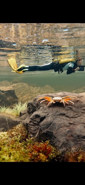 • Si el video tiene apoyo se me ira la pinza y creare alguna foto increible • #ia #inteligenciaartificial #photography #photoshop #lightroom #edit #editss #photographer #fotografo #tutorial #rellenogenerativo #rellenogenerativophotoshop #montage #montaje #fotografiamovil #iphone13promax