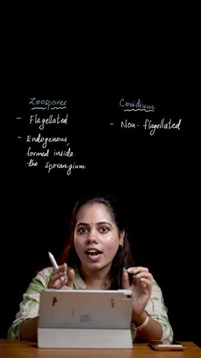 Zoospores vs. Conidia: Key Differences and Similarities | Class 12 Biology (HSE +2)