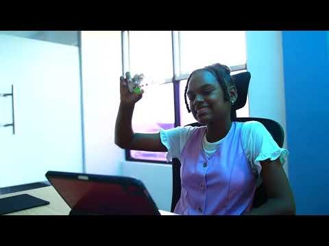 Project Codeblocks Introduction