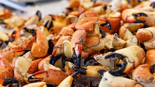 Exploring Stone Crab: A Journey into Florida’s Coastal Tradition