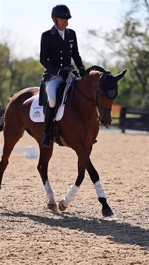 Boyd Martin brought the magic to the dressage ring at the #USEquestrianOpen Final for Eventing! Alyssa Phillips was a star with her young horses as well. From grooming to greatness, Cowboy Magic keeps champions looking their best every stride of the way. 🐎💫 #CowboyMagic #GroomLikeAPro | Cowboy Magic