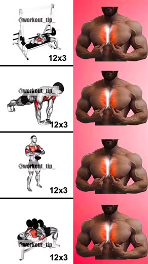 Inner Chest Workouts ✅ | Fit Pro