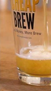 Making A Homebrewed Blonde Ale #beerbrewing #fermentation #homebrewing #beer