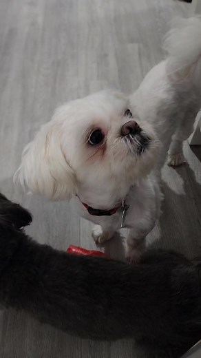 Well hello | Life of Cooper