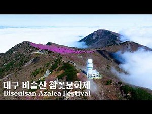 The Pink Sky Garden, Everything About the Mt. Biseul Azalea Festival! The Largest Azaleas in Korea