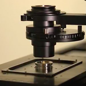 Super-resolution Microscope Provides Insight Into Alzheimer's Plaques | Cell And Molecular Biology