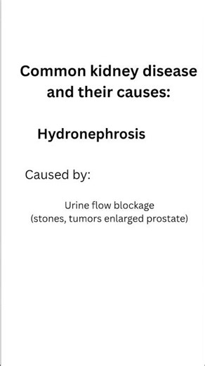 Hydronephrosis happens when urine backs up and swells the kidney, weakening its function."