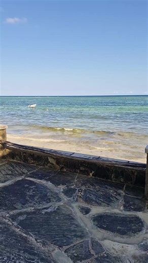 Mash (@mash06545)’s videos with orijinal ses - snowbo.art