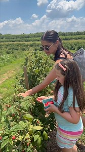 Share this with your berry picking partner! 🫐 Summer berry season is here: Blueberries, Raspberries and more! Tap for daily crops and conditions: linvilla.com/pick-your-own | Linvilla Orchards