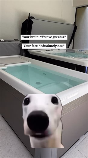 Hot Spring Spas by Spas Etc on Instagram: "Cold plunges have a funny way of humbling you in the first five seconds of getting in the water… and then making you feel unstoppable five seconds later. Think you’d last longer than 20 seconds? DM us “COLD” or stop by our Orange Park showroom to check out the Vigor® Cold Plunge in person. Results include: a sense of accomplishment for doing something most people talk themselves out of. . . . Vigor Cold Plunge, Amelia Island, Fernandina Beach #ColdPlung