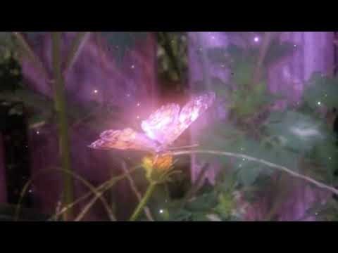 This subliminal was uploaded by your divine plan — let it do what it came to do.