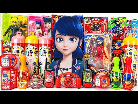 Miraculous Ladybug Toys Collection ASMR Unboxing Review | Mystery Ladybug Box & Blind Box