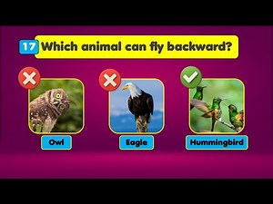 1.Kids quiz question and Answers | General Knowledge Questions for Kids | Guessing Game Quiz 🧠