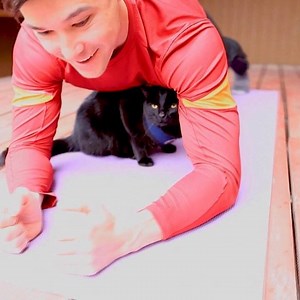 1.3K views · 126 reactions | Meow! Let’s exercise JJ Yosh - who else wants to workout with us? | Simon the backpacking Kitty | Facebook