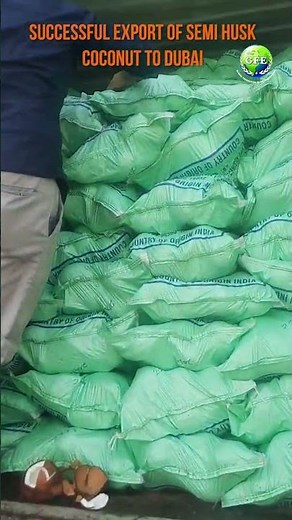 Successful Export of Semi Husk Coconut to Dubai | GFE Success Story #shorts #shortsfeed #foryou