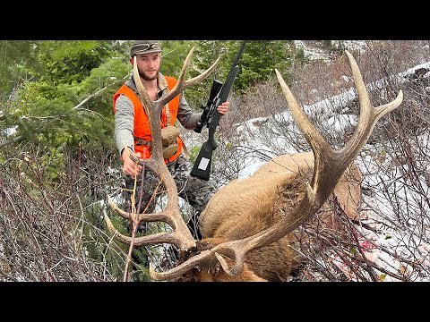 2 MONTANA BULLS DOWN!!! | S7E21 | Limitless Outdoors