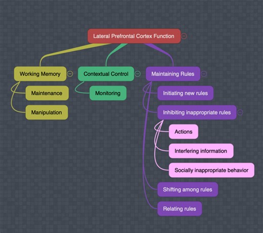 Lecture 16 | The Human Brain
