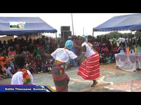 Thiossane Soninke Parade, Animal Microcredit Distribution Ceremony