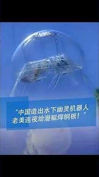 水里藏了个 “透明间谍”？中国水母机器人，连鱼儿都没发现它