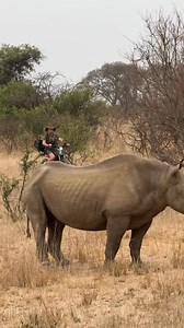 1.1M views · 22K reactions | We need to do all we can to protect these creatures for future generations - conservation matters! 憐鸞 | Reilly Travers | Facebook