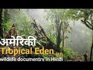 A Tropical Eden - हिंदी डॉक्यूमेंट्री ! American wildlife documentry in Hindi