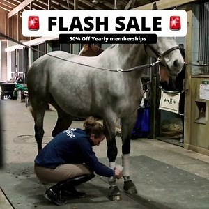 3.5K views · 117 reactions | FLASH SALE: Yearly membership is 50% OFF...