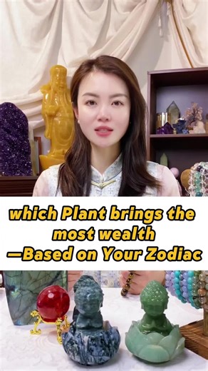 Plantas que Atraen la Riqueza en Feng Shui