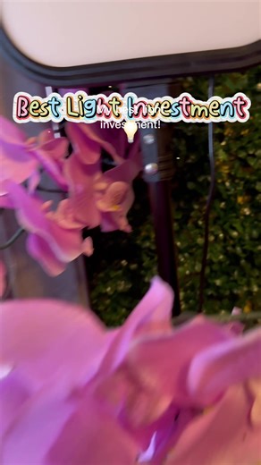 #amazon #amazonfinds #recommendations | Amazon Finds