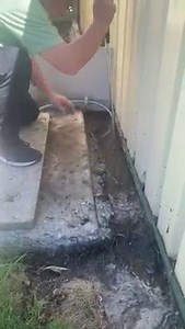 134K views · 160 reactions | News from " THE SNAKE PIT " Eastern...