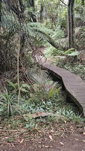 The not so long & winding road