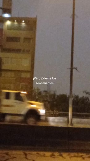 Bad Bunny: La letra de 'Sorry Papi' y sus sentimientos