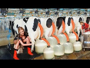 Charming Farm Life: A Pretty Girl's Journey Tending Animals is Milking a Cow and Driving Tractors