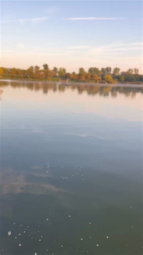 The biggest fish to ever grace my net! Euro Aqua is a very special place… When you get it right, results can be incredible! This was a trip myself & Conor went on last year…. full video on YouTube! | Parker Baits