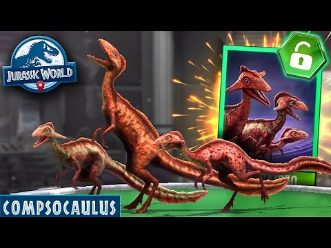 CREATING THE NEW COMPY HYBRID!!! - Jurassic World Alive