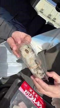 #道の駅#富士吉田#山椒おにぎり#よもぎ饅頭#よもぎ焼きパン#切りさんしょう#鳴沢菜おにぎり#お昼ご飯#雑談 #food