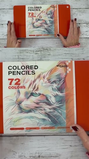 Best Colored Pencils for Beginners! #drawing #colorpencils