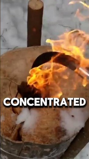 This Log Heater Can Warm a Tent in Freezing Weather 🔥