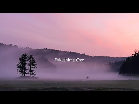 【尾瀬の夏】4年間の絶景まとめ｜尾瀬の魅力を凝縮