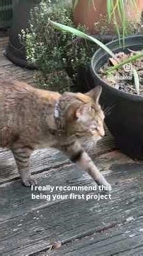 the free sock pattern that made me a knitter 🧦 | pattern shoutout