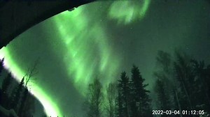 3.4K views · 243 reactions | My Wyze cam captured the aurora last night. Great cheap little camera! North Pole, Alaska. This is real time video. And yes it was seen with the naked eye! ~Amy | Aurora Borealis Notifications | Facebook